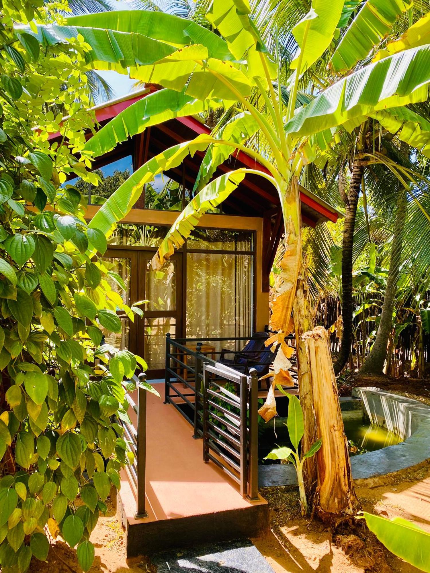 Mango Tree House Hotel Udawalawe Exterior photo