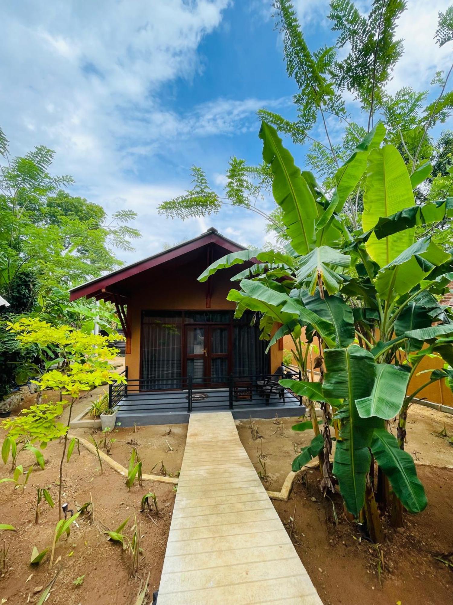 Mango Tree House Hotel Udawalawe Exterior photo